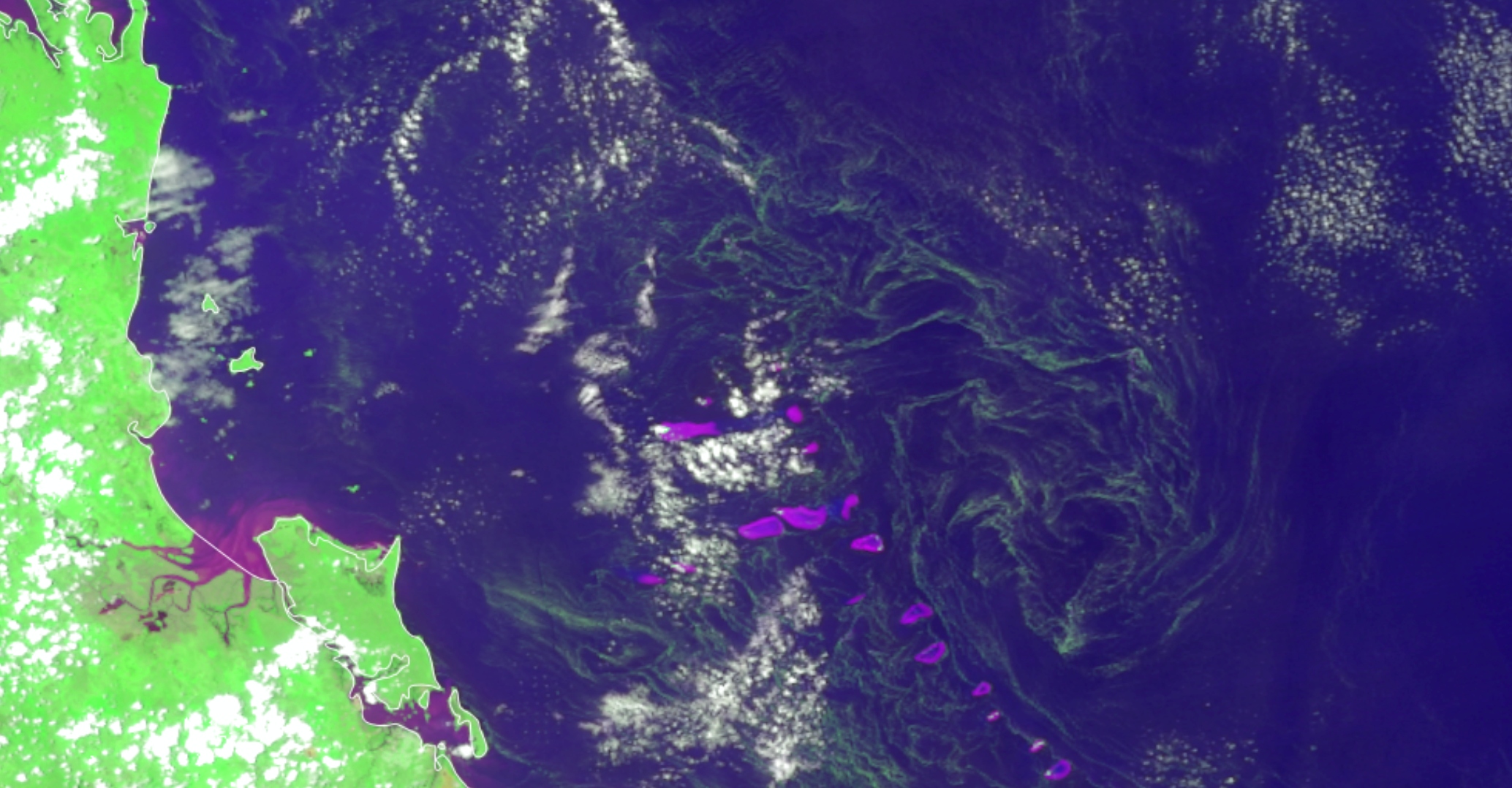 VIIRS-algae-bloom-1-22-2026.jpg