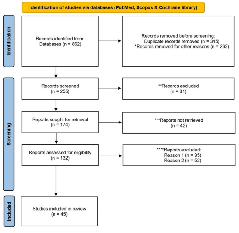 article_river_02537b2024fc11f1b5d6e777d9a89fc6-PRISMA_2020_flow_diagram_new_SRs_v1_page-0001.png